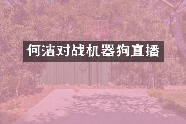何洁对战机器狗直播