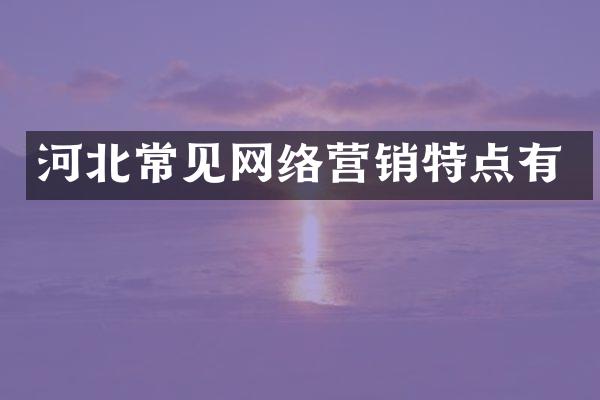 河北常见网络营销特点有
