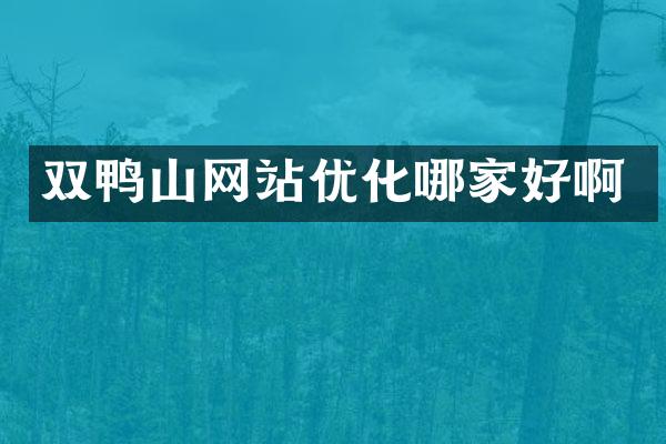 双鸭山网站优化哪家好啊