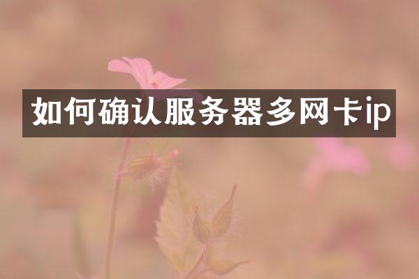 如何确认服务器多网卡ip