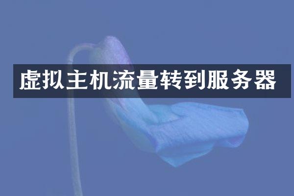 虚拟主机流量转到服务器