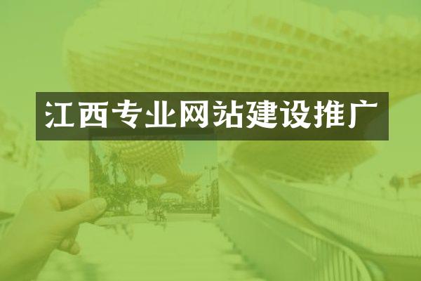 江西专业网站建设推广