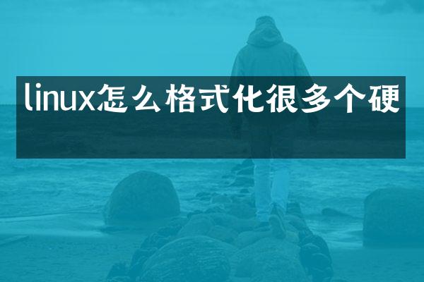 linux怎么格式化很多个硬盘