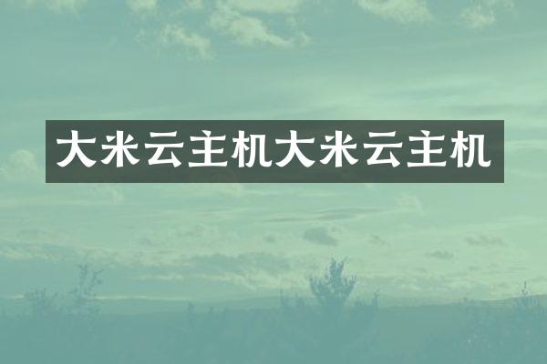 大米云主机大米云主机