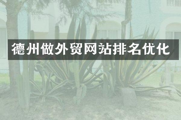 德州做外贸网站排名优化