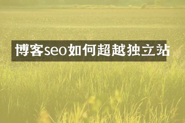 博客seo如何超越独立站