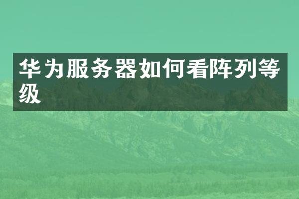 华为服务器如何看阵列等级