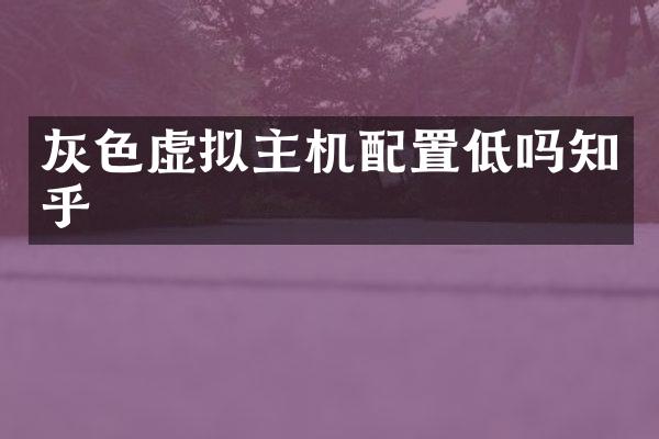 灰色虚拟主机配置低吗知乎
