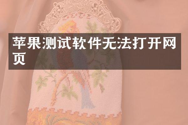 苹果测试软件无法打开网页