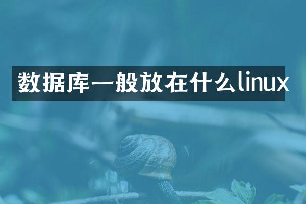 数据库一般放在什么linux
