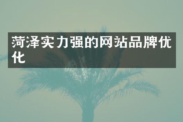 菏泽实力强的网站品牌优化