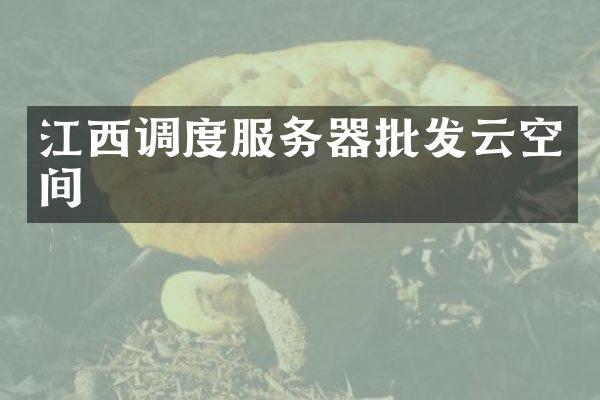 江西调度服务器批发云空间
