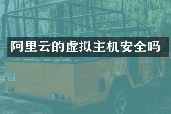 阿里云的虚拟主机安全吗