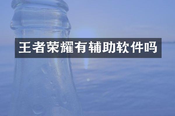 王者荣耀有辅助软件吗