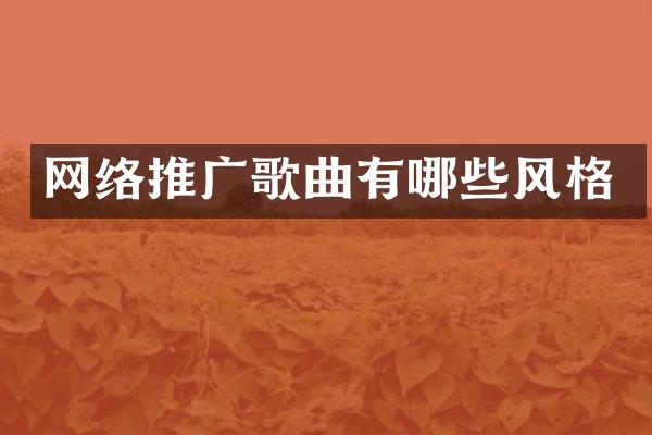 网络推广歌曲有哪些风格