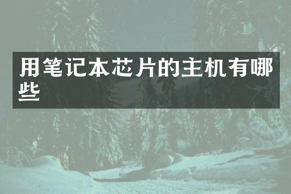 用笔记本芯片的主机有哪些