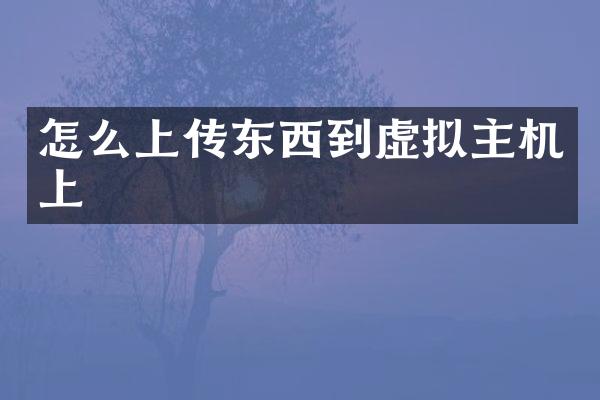怎么上传东西到虚拟主机上