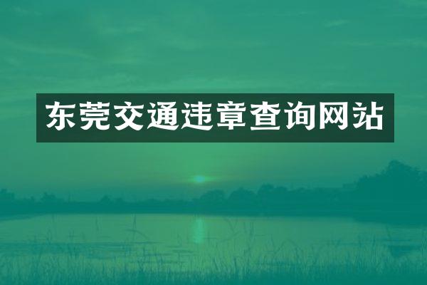 东莞交通违章查询网站
