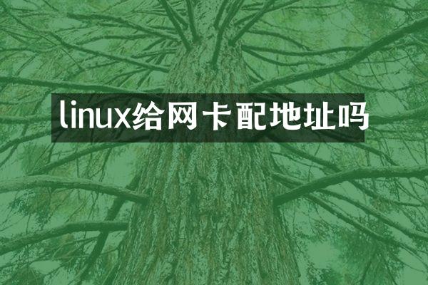 linux给网卡配地址吗