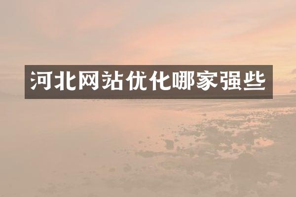 河北网站优化哪家强些