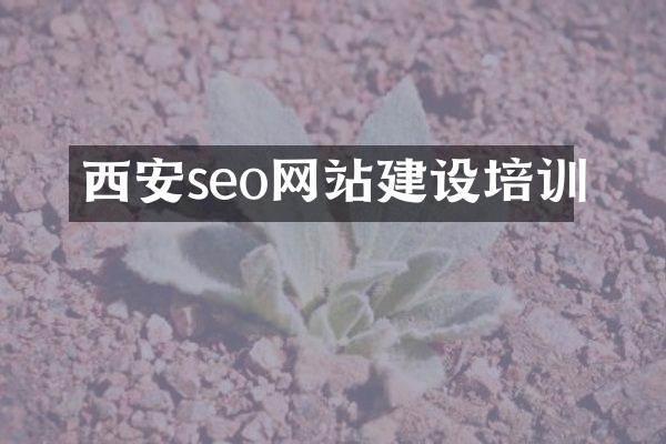 西安seo网站建设培训