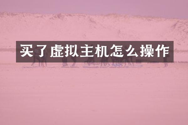 买了虚拟主机怎么操作