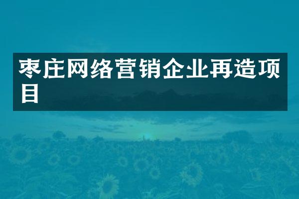 枣庄网络营销企业再造项目