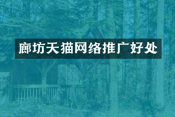 廊坊天猫网络推广好处