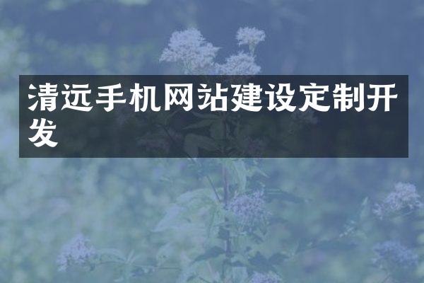 清远手机网站建设定制开发