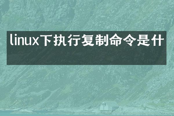 linux下执行复制命令是什么