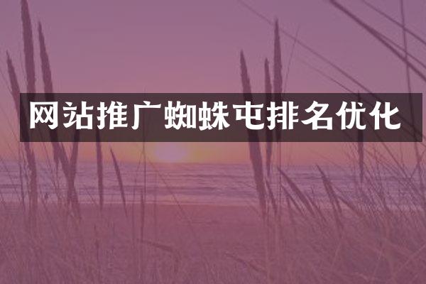 网站推广蜘蛛屯排名优化