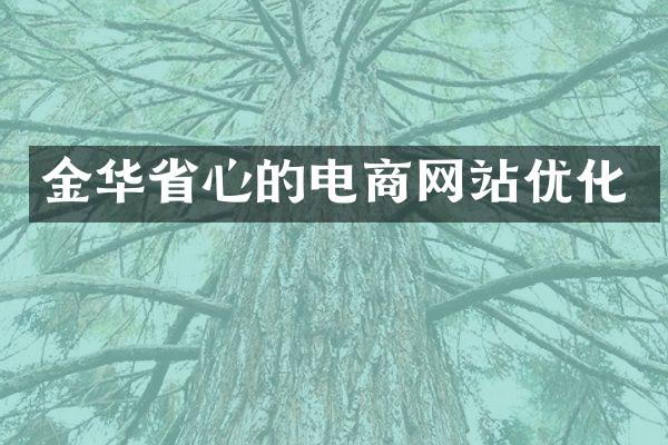 金华省心的电商网站优化