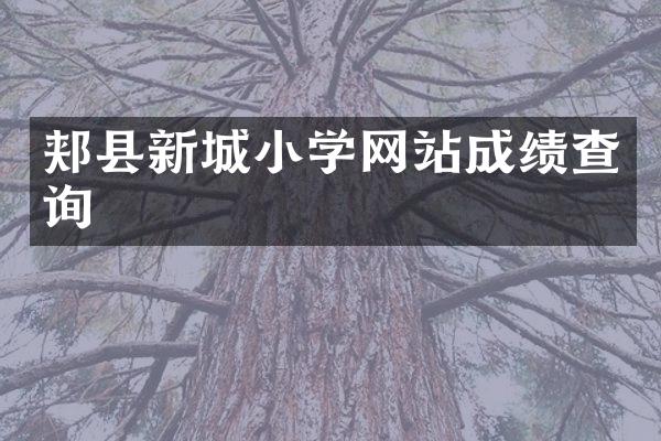 郏县新城小学网站成绩查询