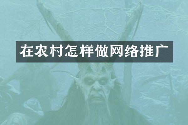 在农村怎样做网络推广