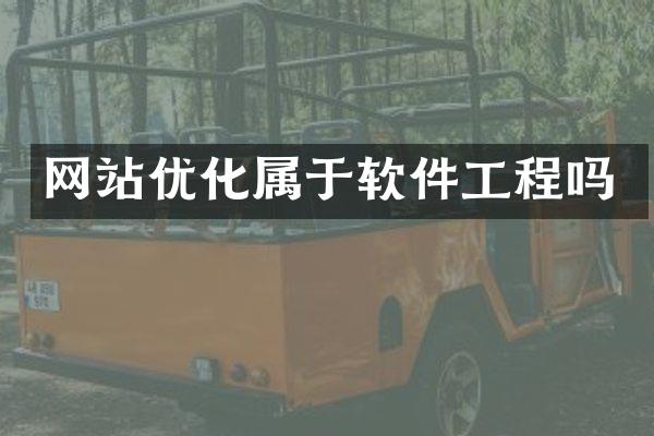 网站优化属于软件工程吗