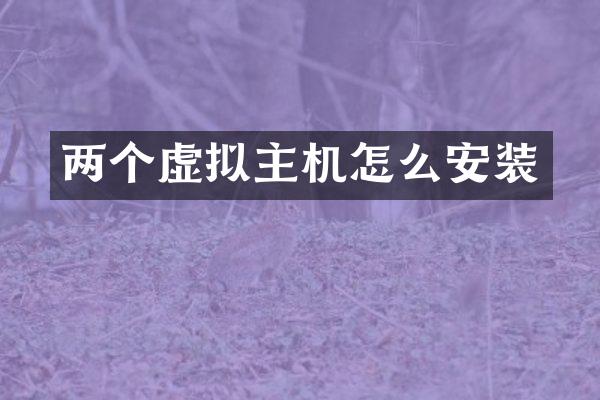 两个虚拟主机怎么安装