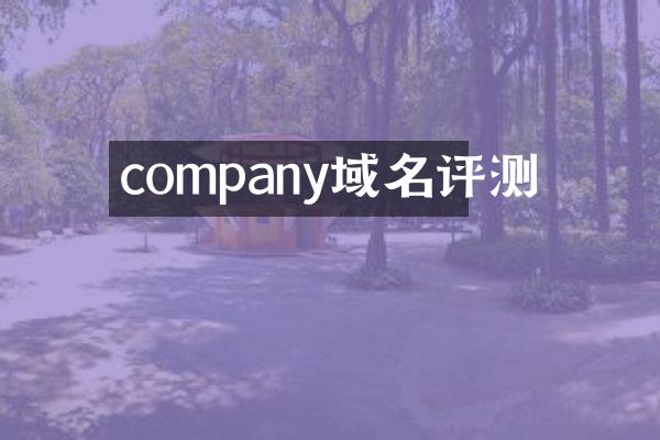 company域名评测