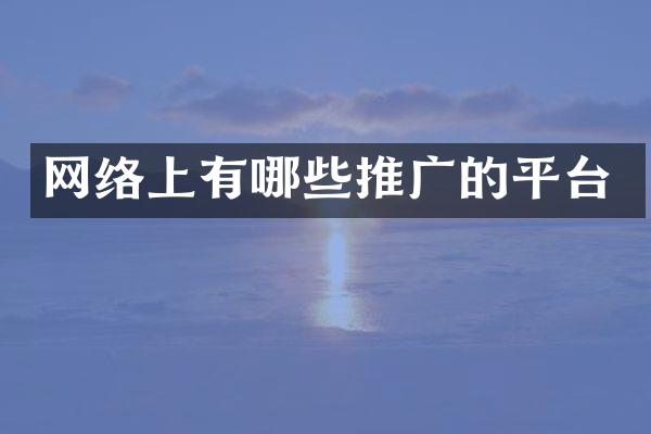 网络上有哪些推广的平台