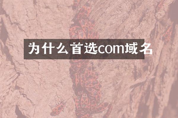 为什么首选com域名