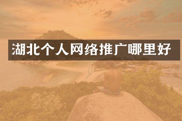 湖北个人网络推广哪里好