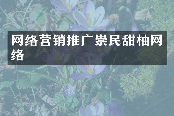 网络营销推广崇民甜柚网络