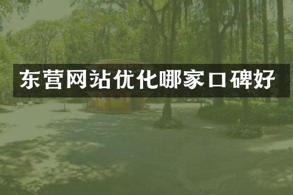 东营网站优化哪家口碑好