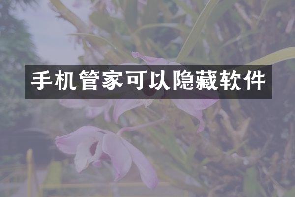 手机管家可以隐藏软件
