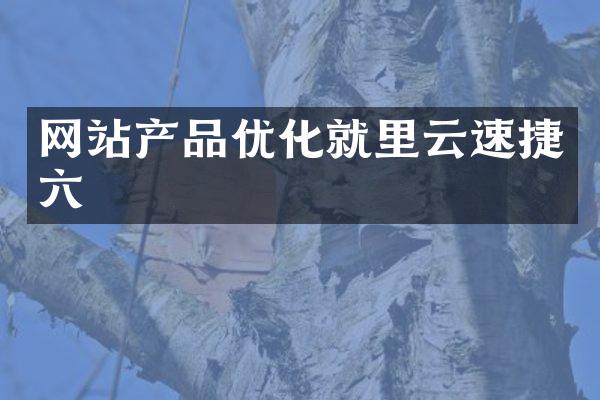 网站产品优化就里云速捷六