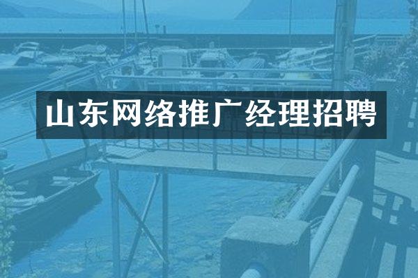 山东网络推广经理招聘