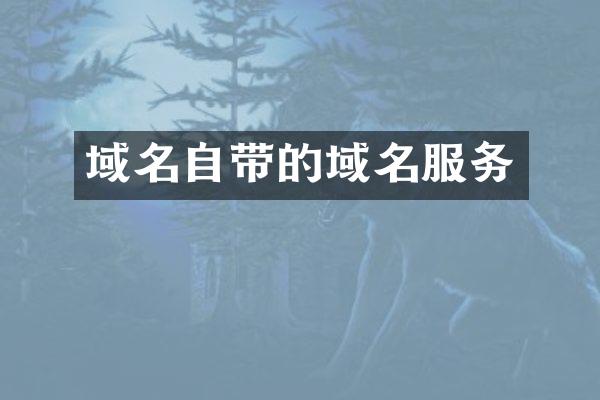 域名自带的域名服务