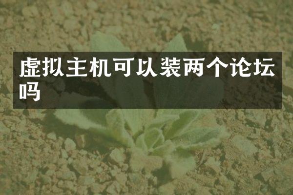 虚拟主机可以装两个论坛吗