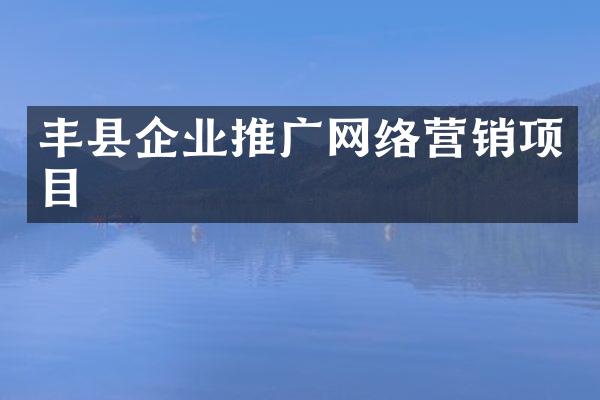 丰县企业推广网络营销项目