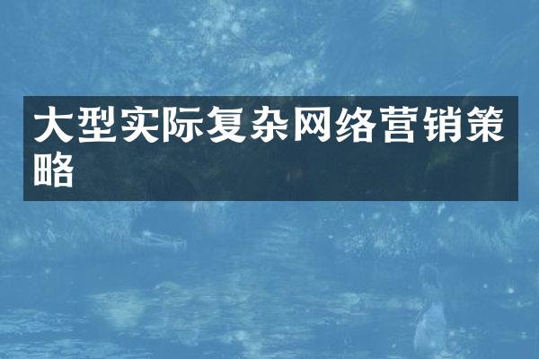 大型实际复杂网络营销策略