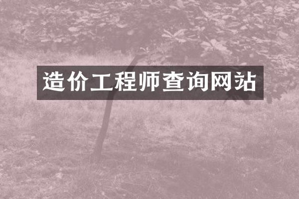 造价工程师查询网站